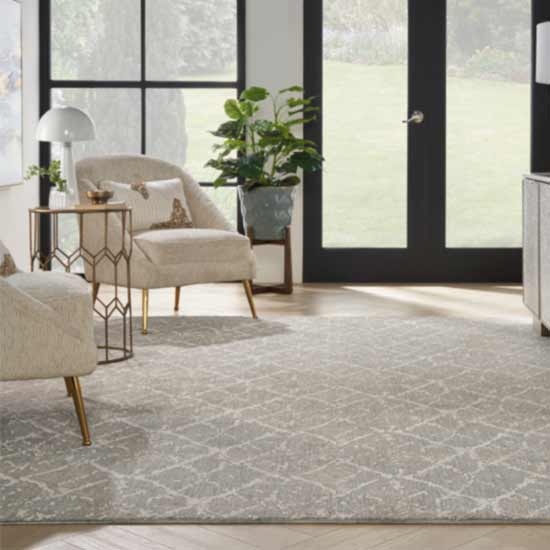 neutral area rug carper bound in living room